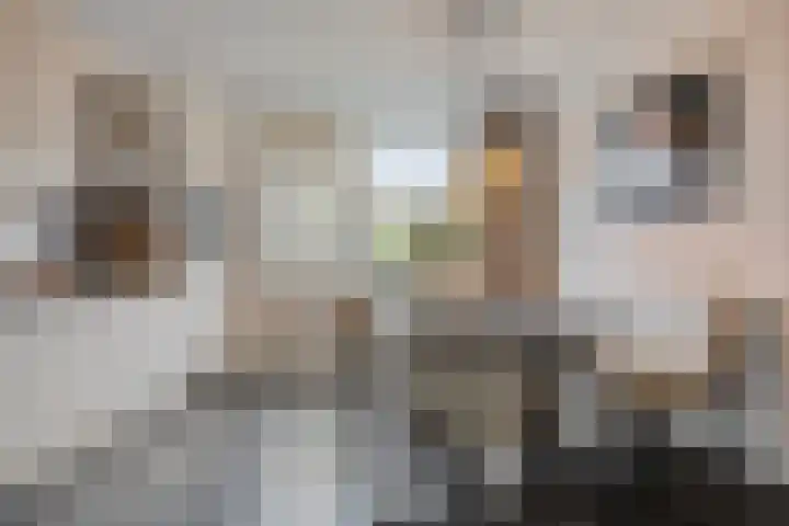 Holtwiklanden 159 Enschede thumbnail 13