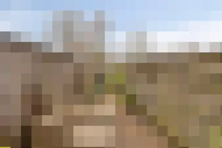 Holtwiklanden 159 Enschede thumbnail 24