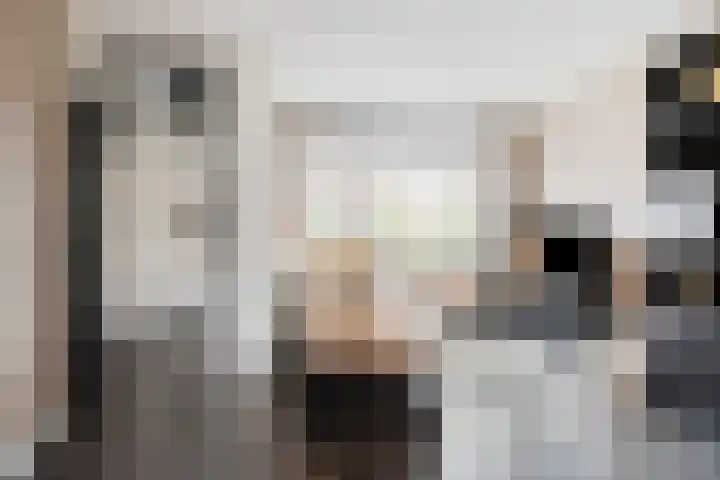 Holtwiklanden 159 Enschede thumbnail 9