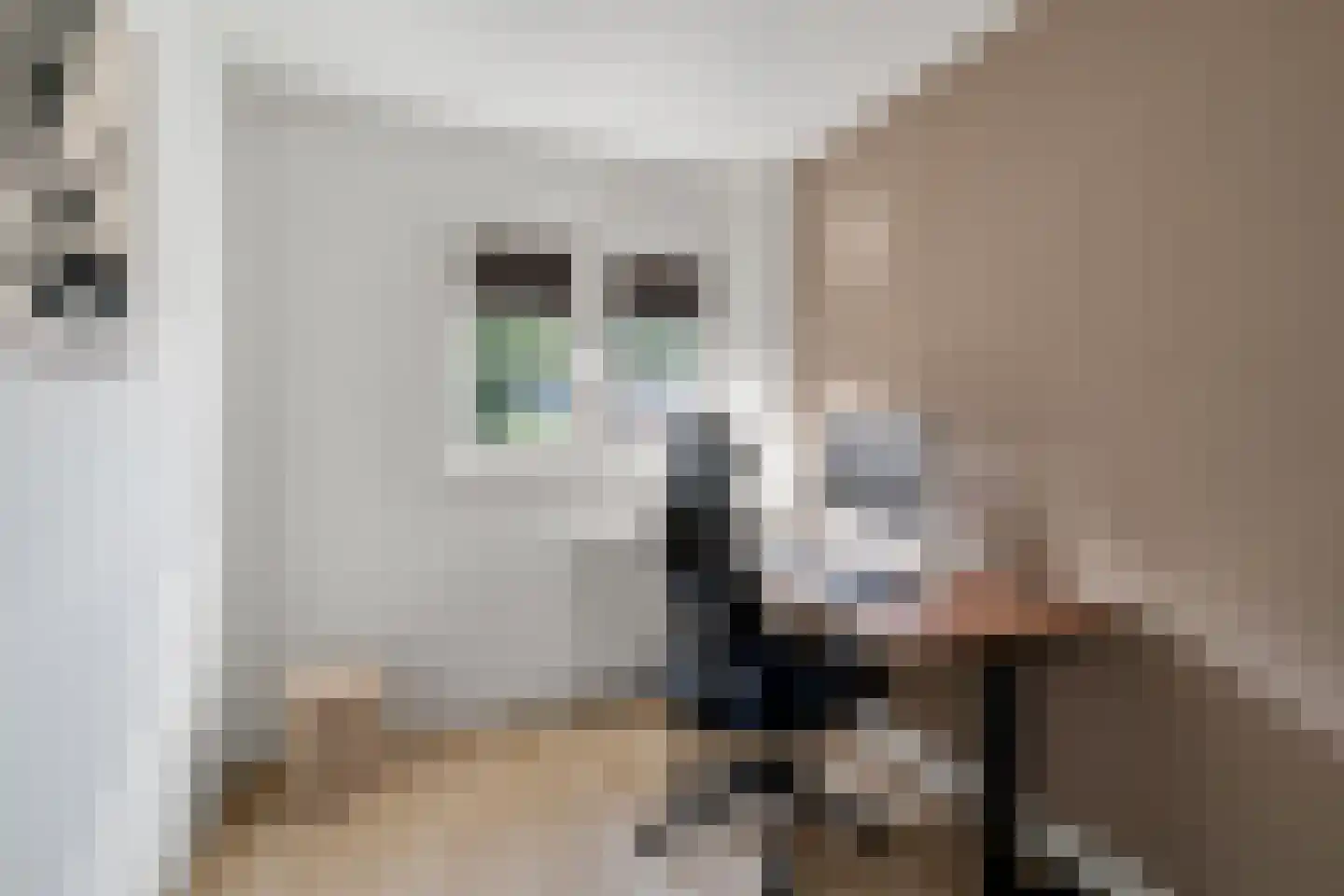 Holtwiklanden 160 Enschede thumbnail 22