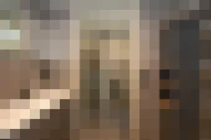 Holtwiklanden 192 Enschede thumbnail 30