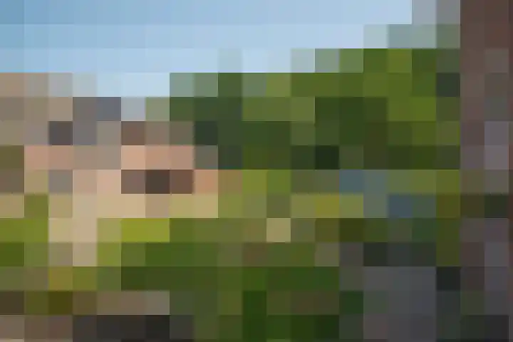 Holtwiklanden 192 Enschede thumbnail 35