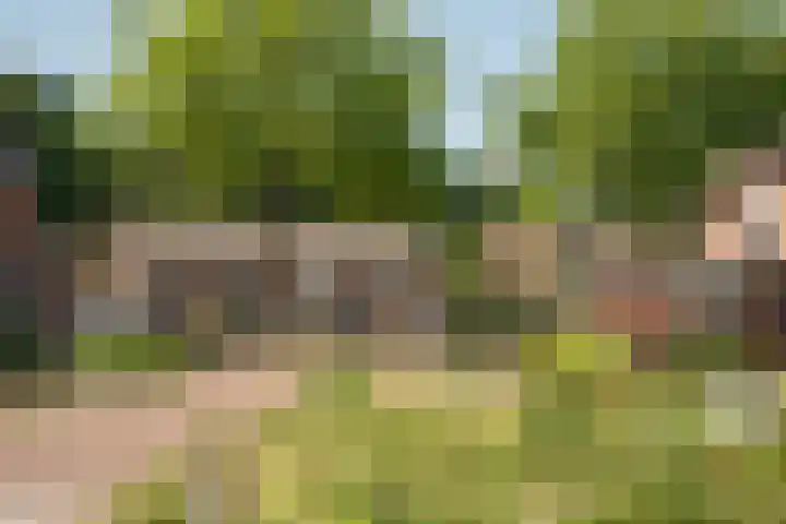 Holtwiklanden 192 Enschede thumbnail 36