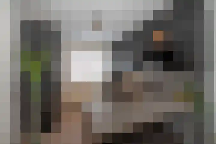 Holtwiklanden 192 Enschede thumbnail 6