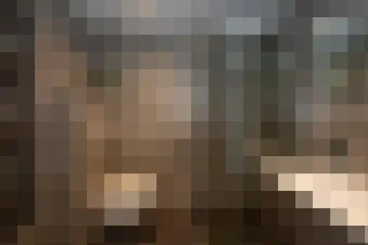 Holtwiklanden 192 Enschede thumbnail 7