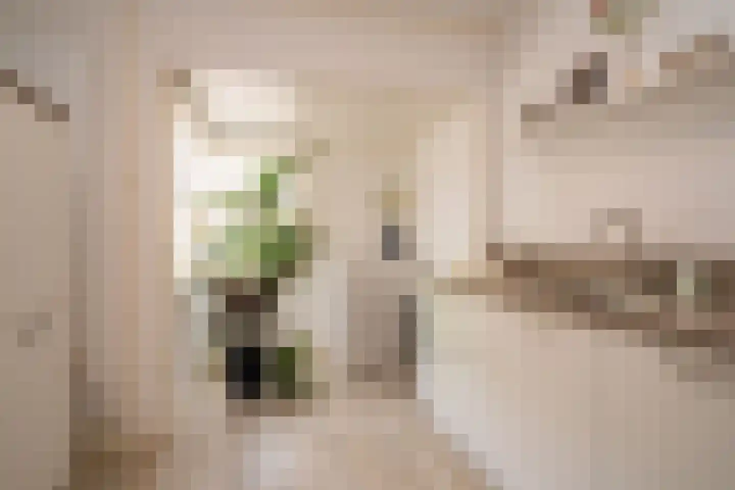 Holtwiklanden 32 Enschede thumbnail 17