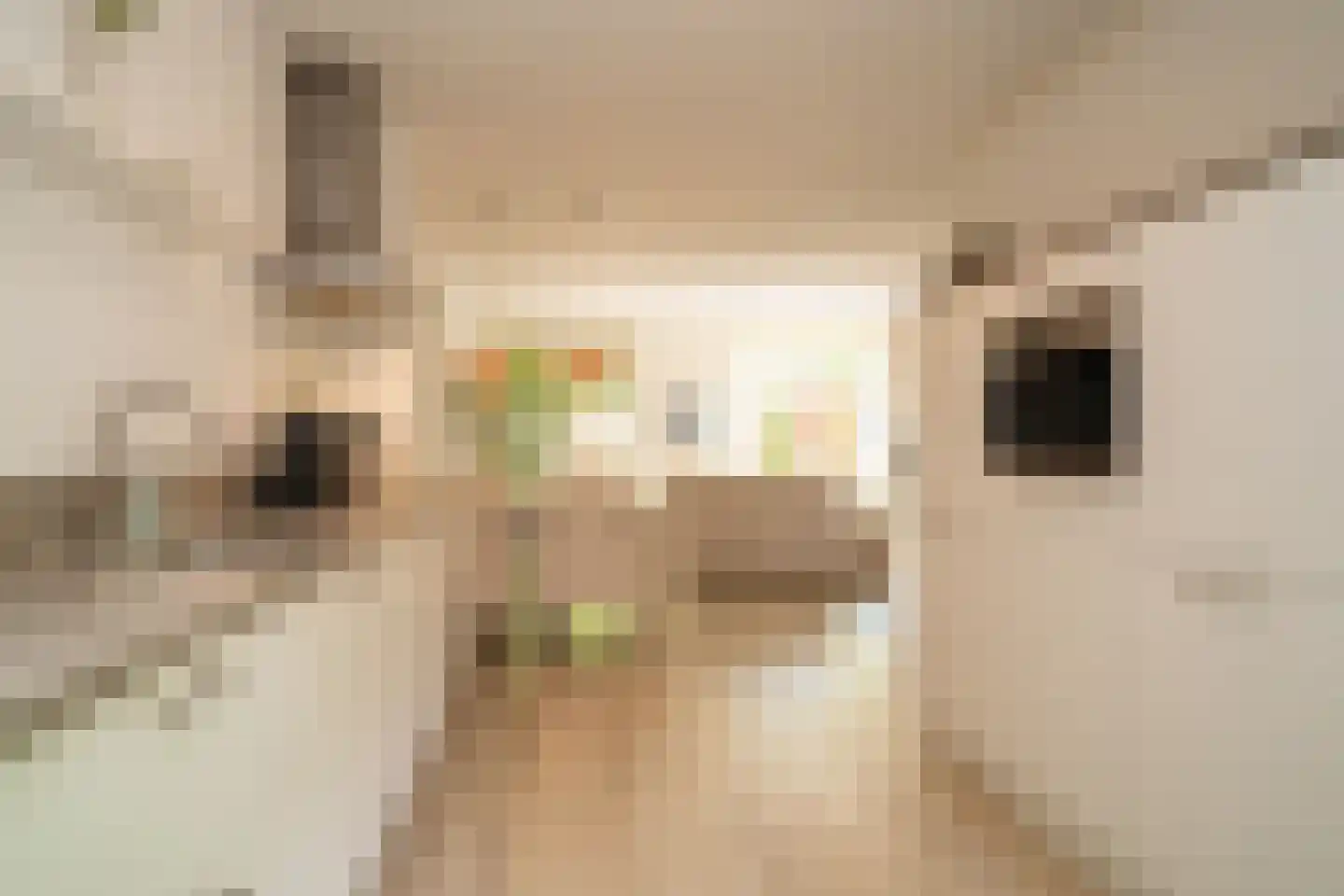Holtwiklanden 32 Enschede thumbnail 18