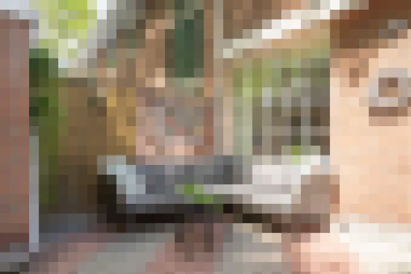 Holtwiklanden 32 Enschede thumbnail 29