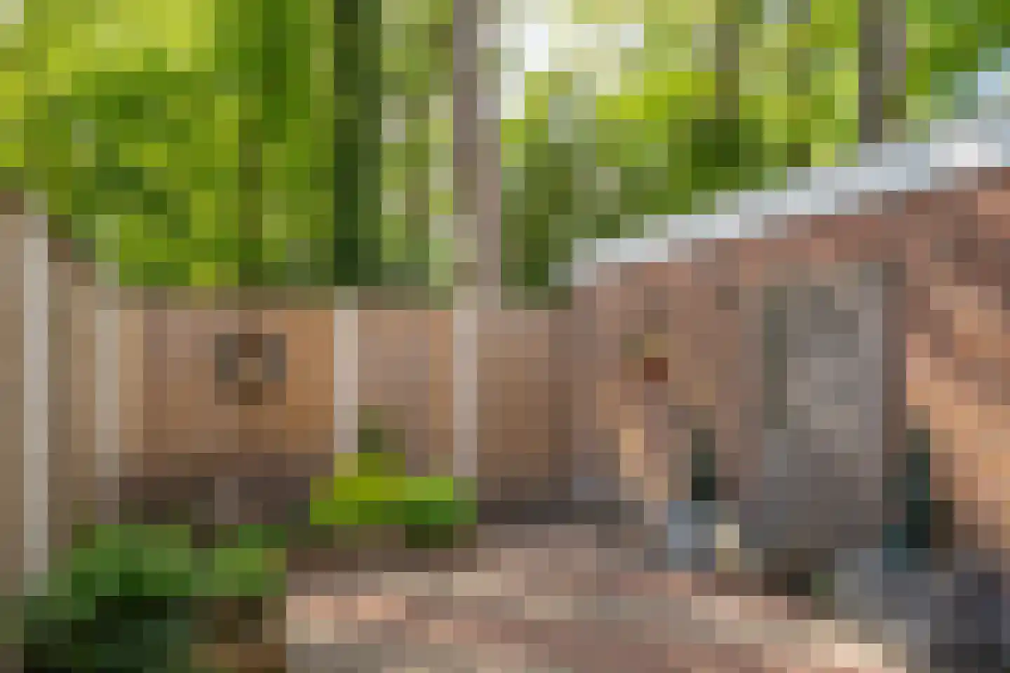 Holtwiklanden 32 Enschede thumbnail 30