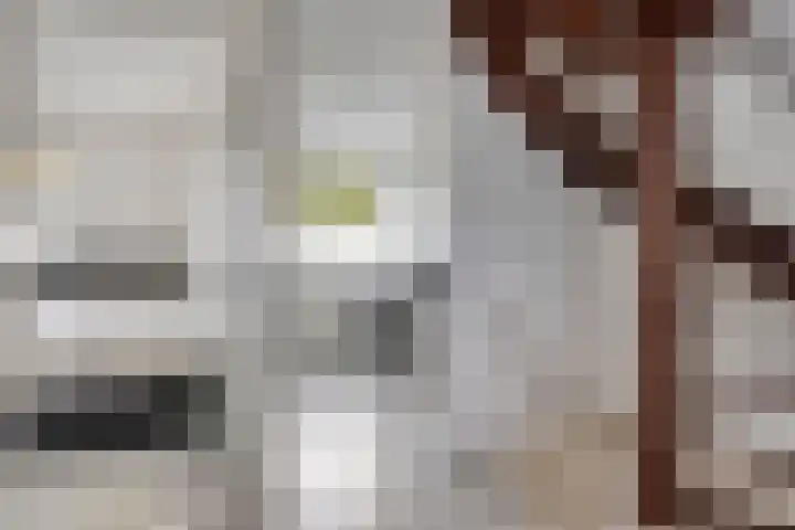 Holtwiklanden 54 Enschede thumbnail 17
