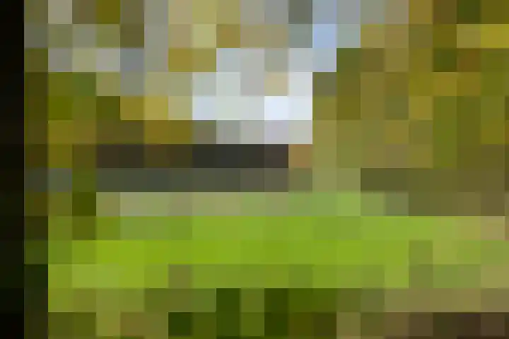 Holtwiklanden 54 Enschede thumbnail 36