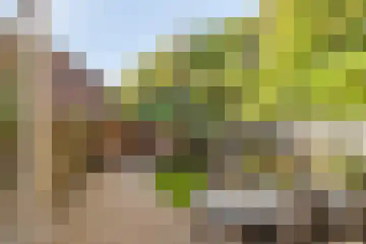 Holtwiklanden 54 Enschede thumbnail 4