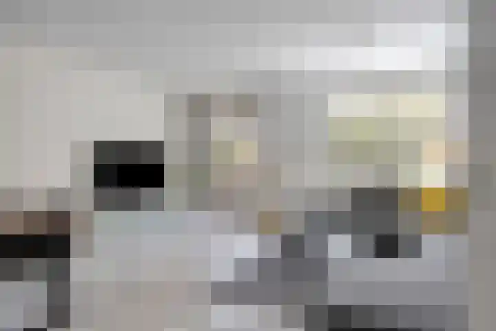 Holtwiklanden 54 Enschede thumbnail 7