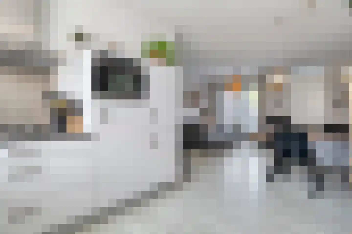 Holvastwerf 26 Dedemsvaart thumbnail 11