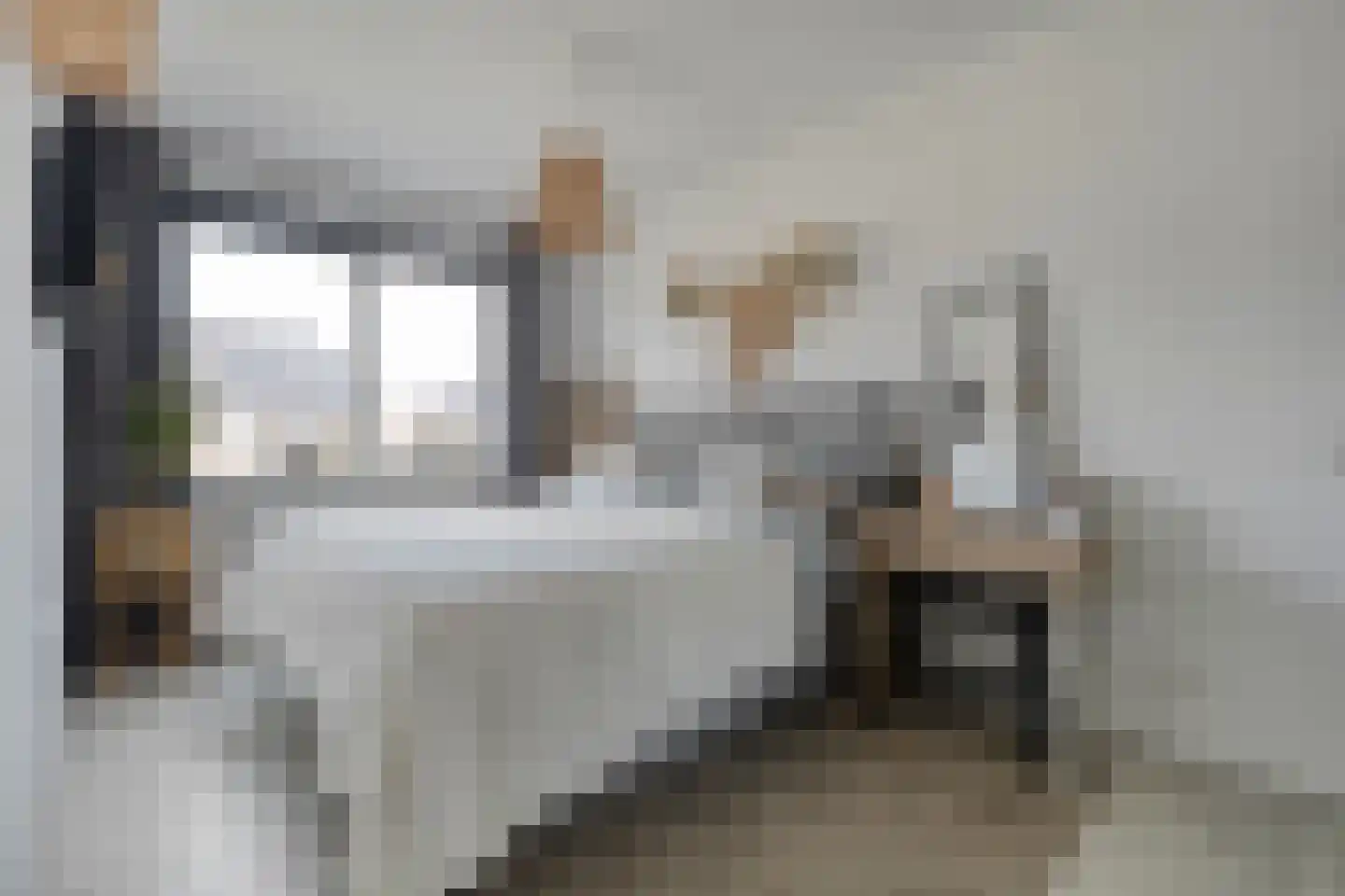 Holvastwerf 26 Dedemsvaart thumbnail 16