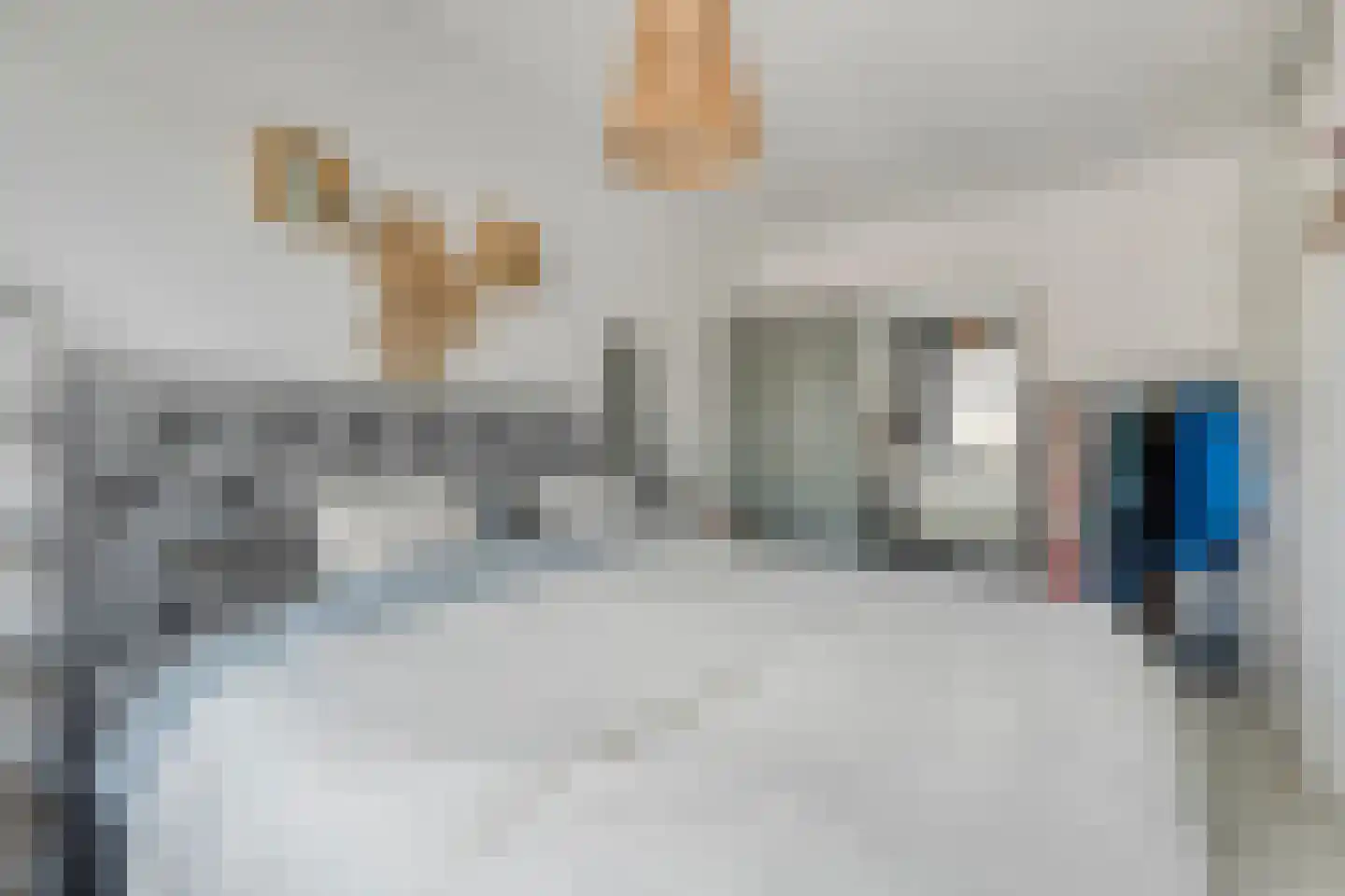 Holvastwerf 26 Dedemsvaart thumbnail 17