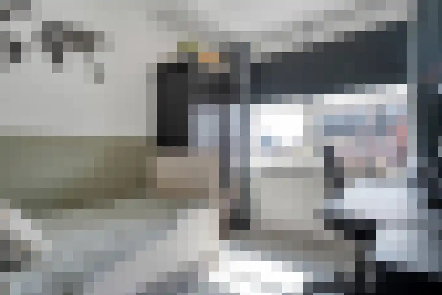Holvastwerf 26 Dedemsvaart thumbnail 18