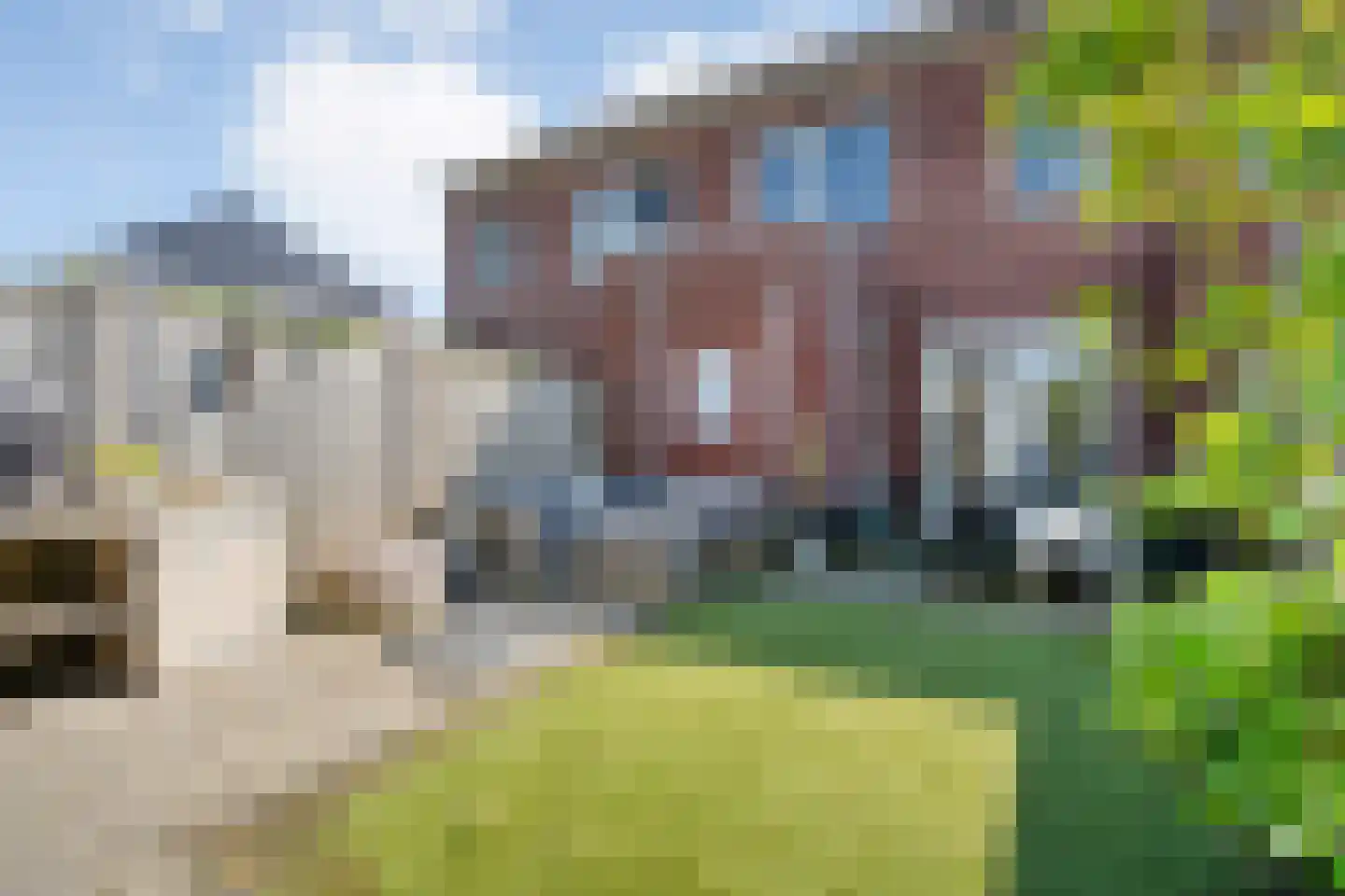 Holvastwerf 26 Dedemsvaart thumbnail 28