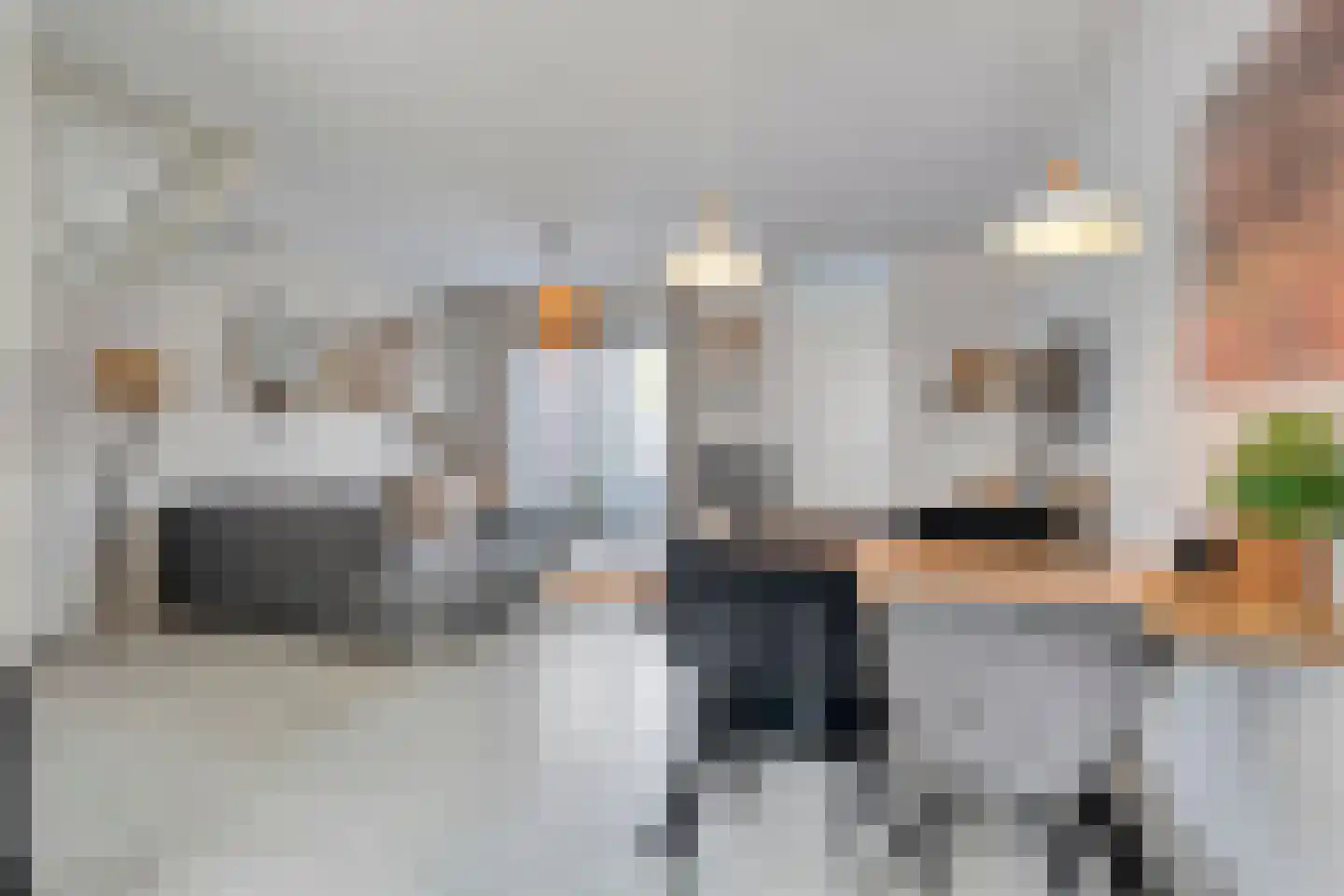 Holvastwerf 26 Dedemsvaart thumbnail 6