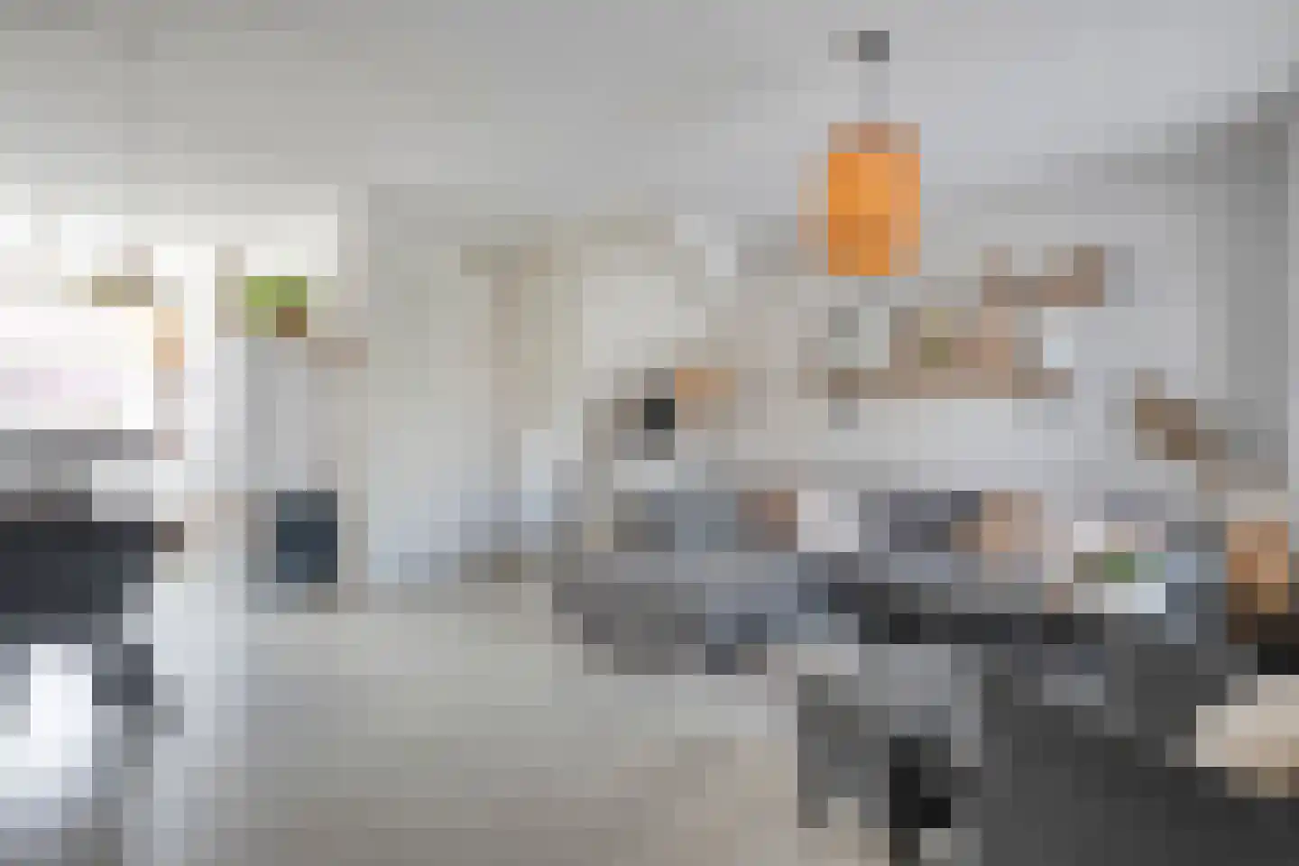 Holvastwerf 26 Dedemsvaart thumbnail 7