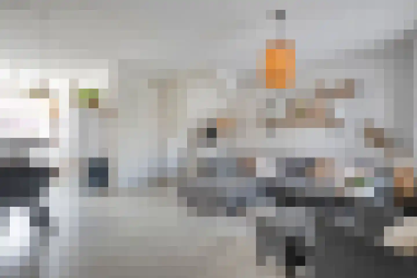 Holvastwerf 26 Dedemsvaart thumbnail 7