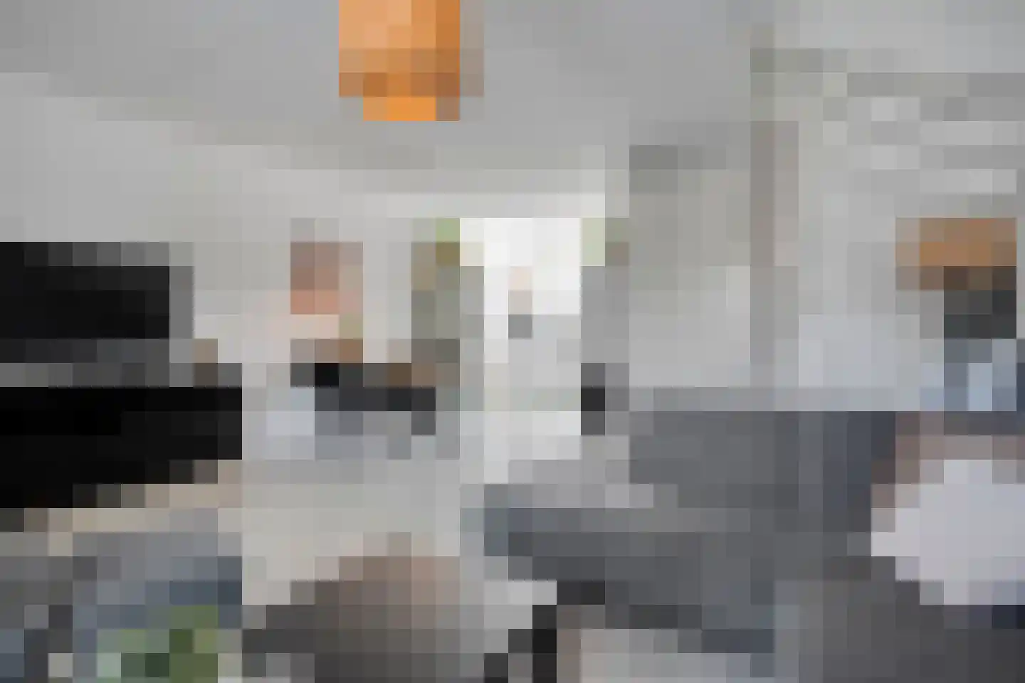 Holvastwerf 26 Dedemsvaart thumbnail 8
