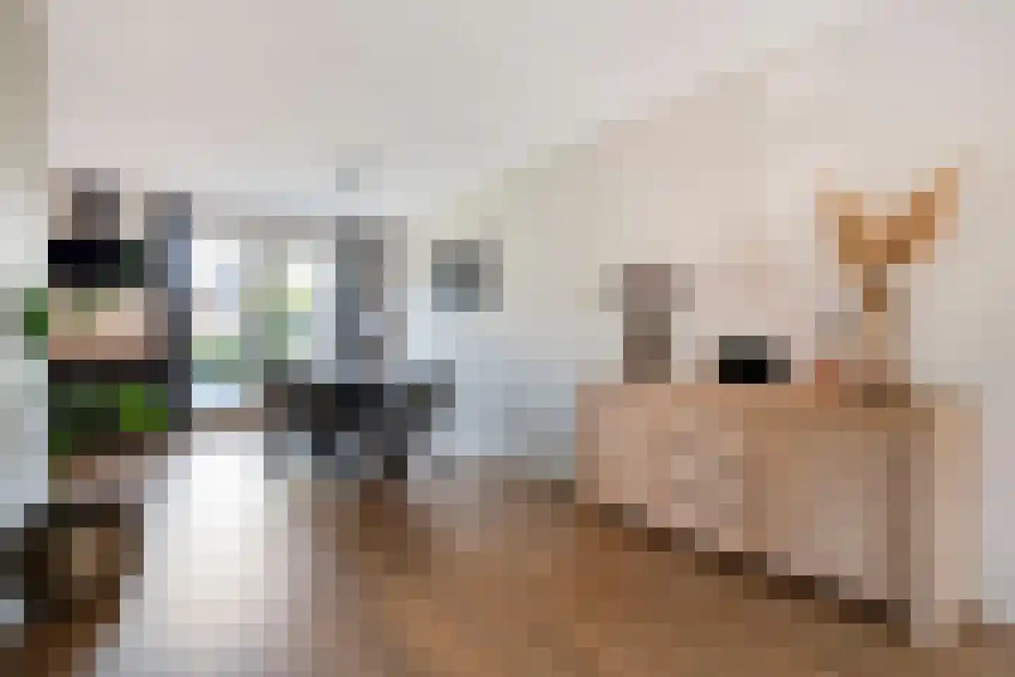 Holvastwerf 42 Dedemsvaart thumbnail 10