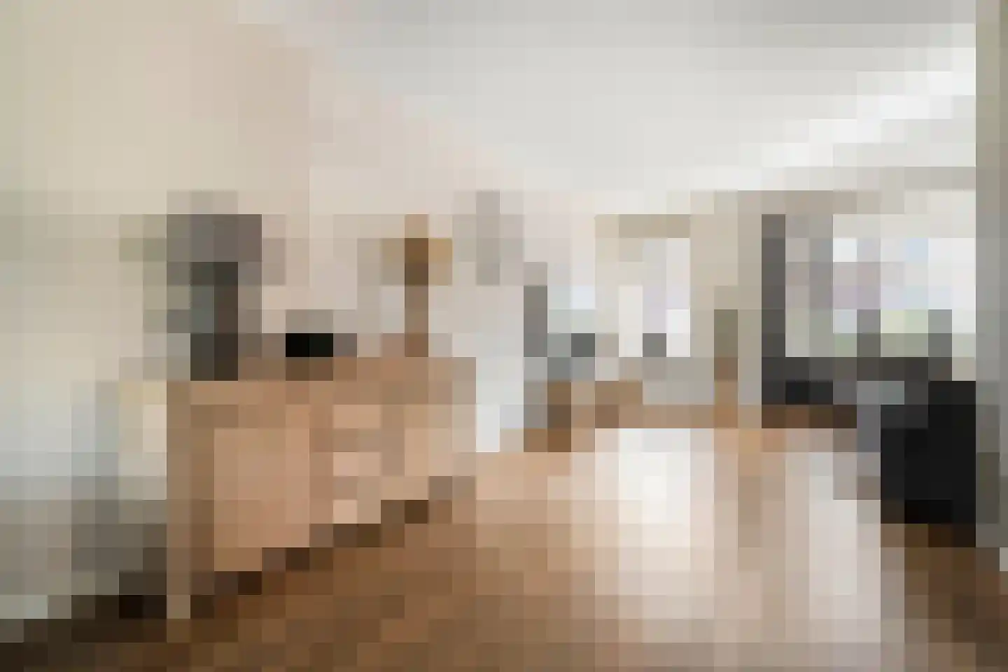 Holvastwerf 42 Dedemsvaart thumbnail 11