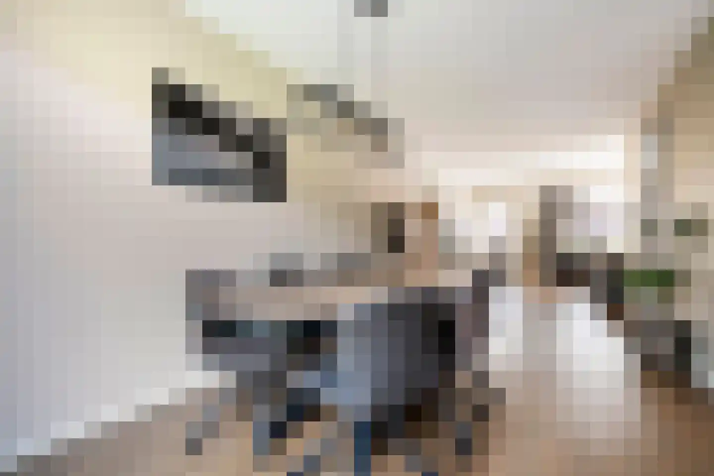 Holvastwerf 42 Dedemsvaart thumbnail 12
