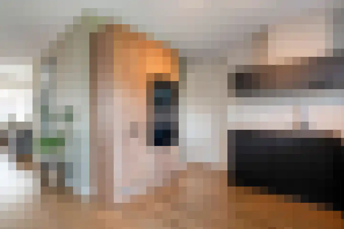 Holvastwerf 42 Dedemsvaart thumbnail 14