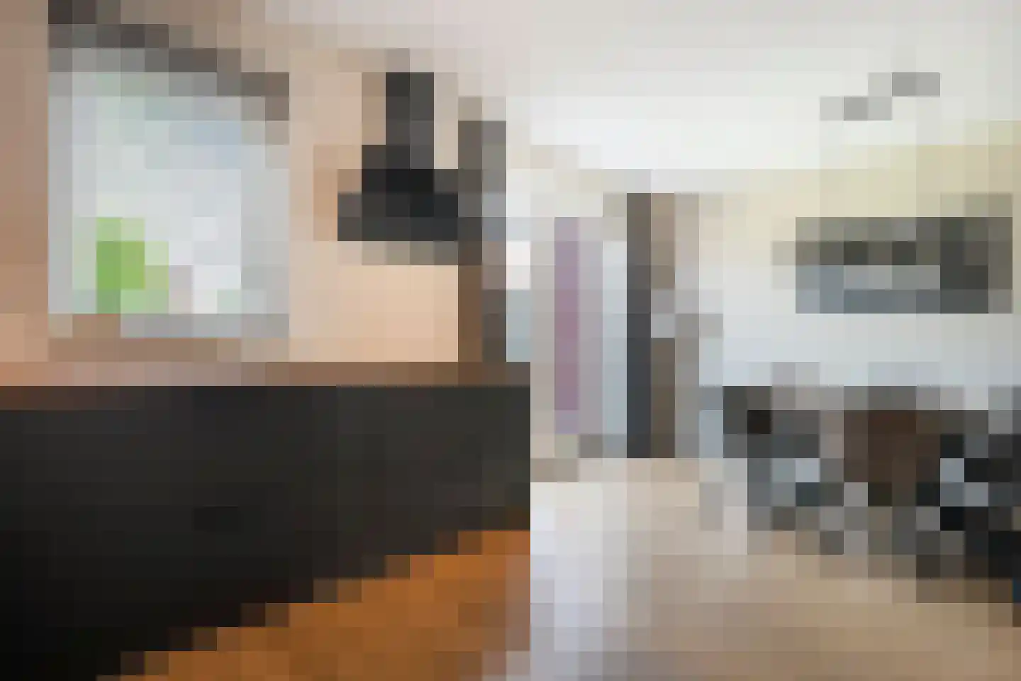Holvastwerf 42 Dedemsvaart thumbnail 16