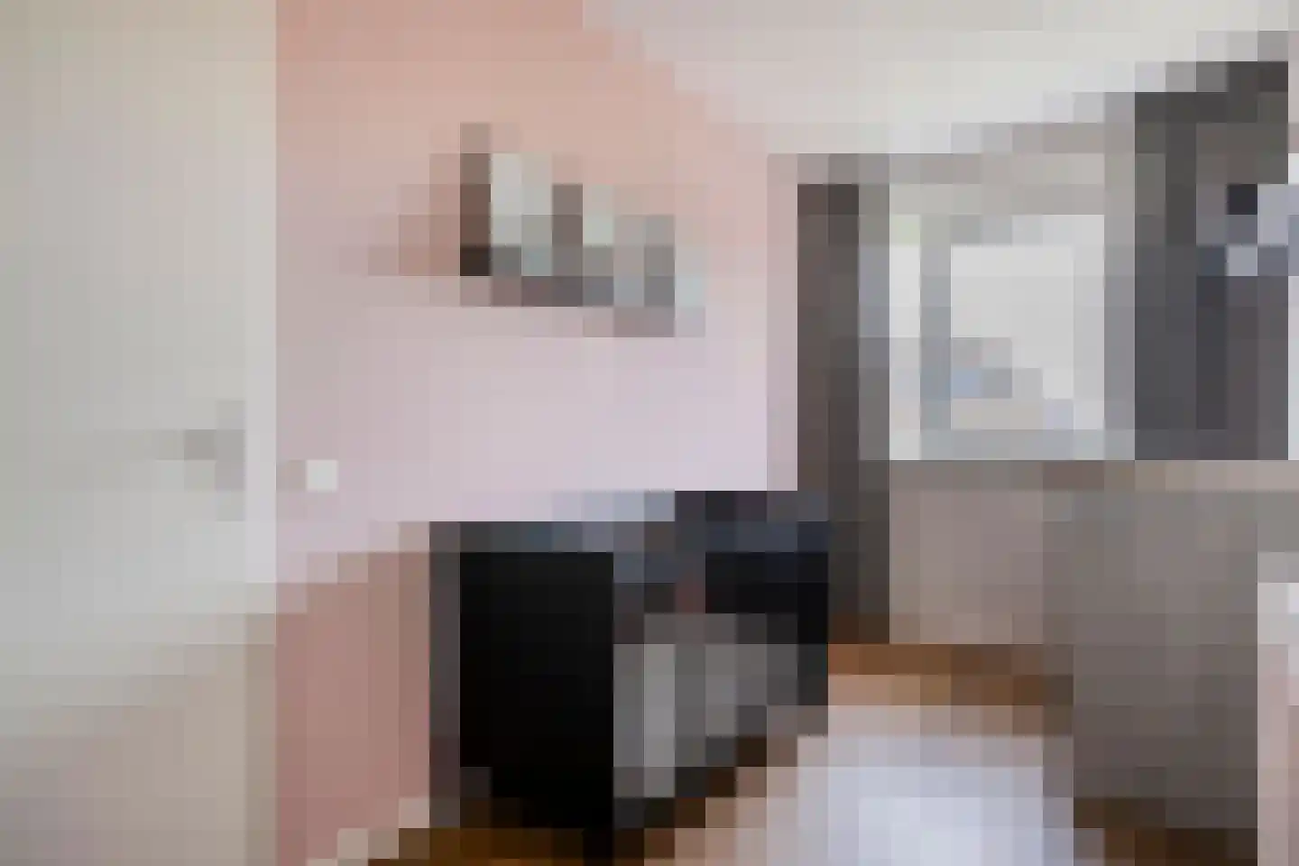 Holvastwerf 42 Dedemsvaart thumbnail 25
