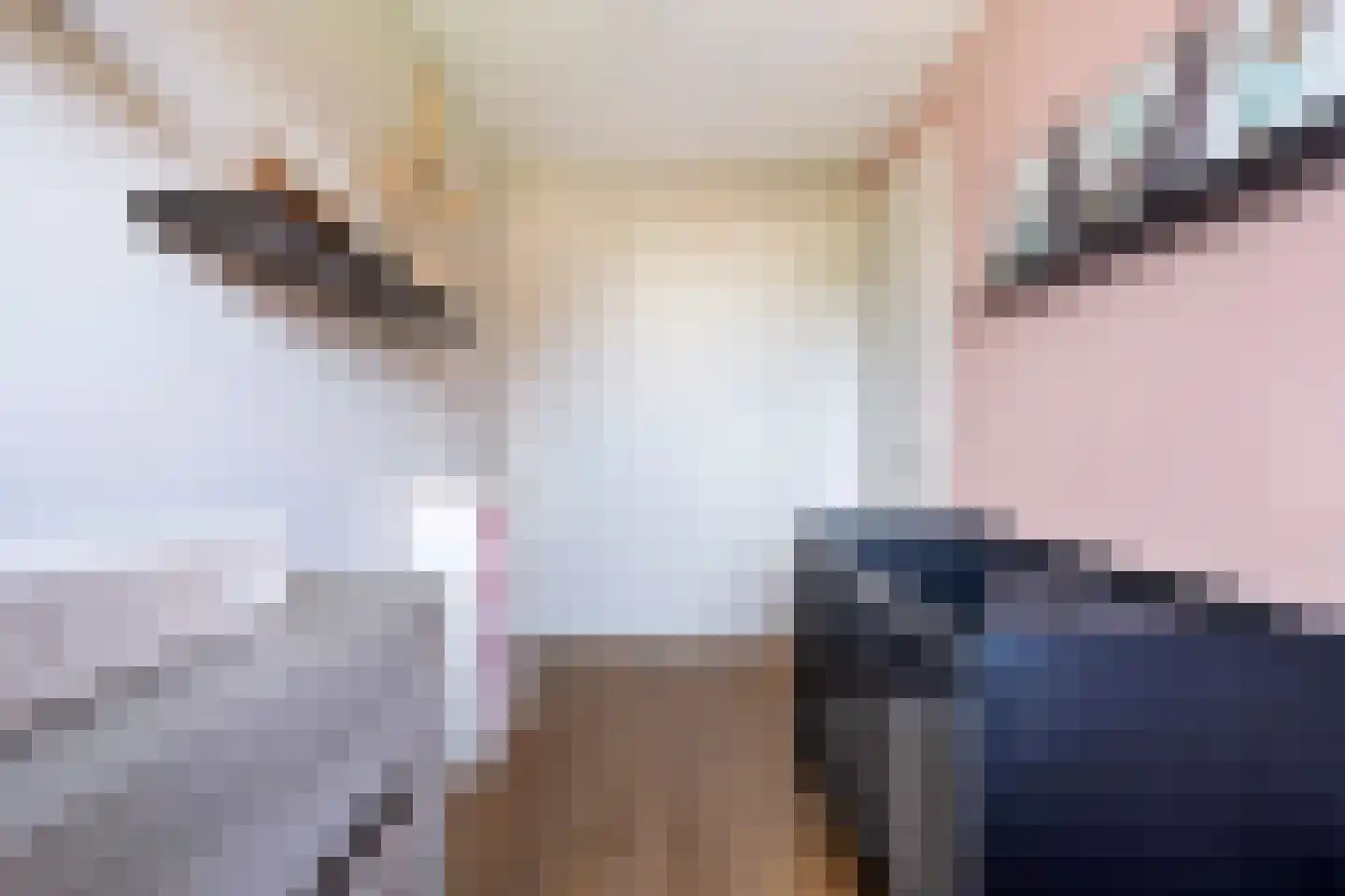 Holvastwerf 42 Dedemsvaart thumbnail 26