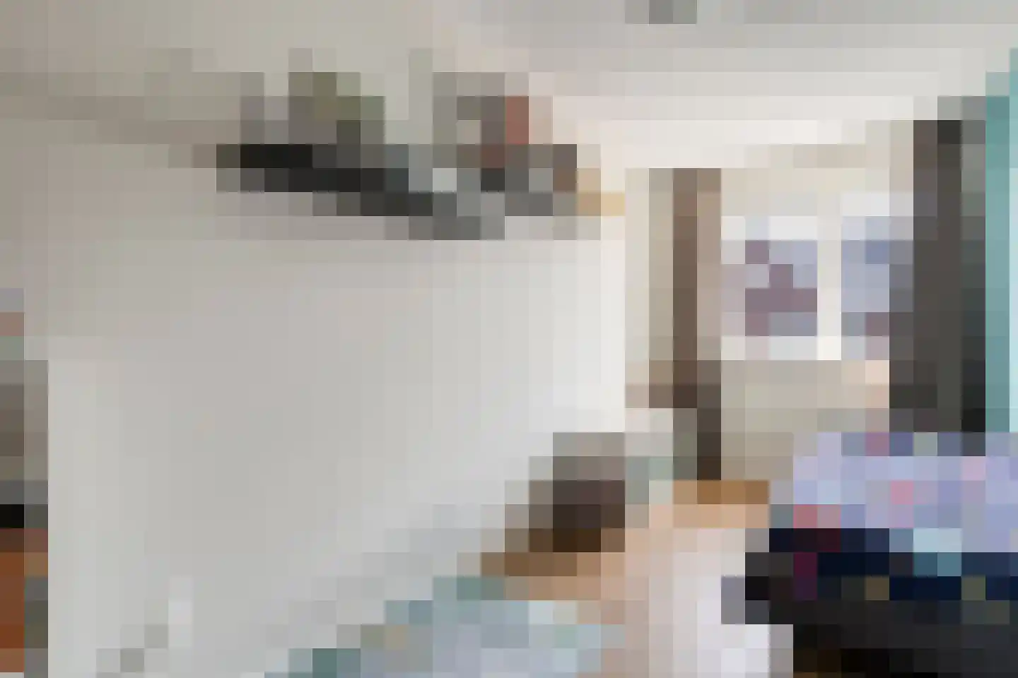 Holvastwerf 42 Dedemsvaart thumbnail 27
