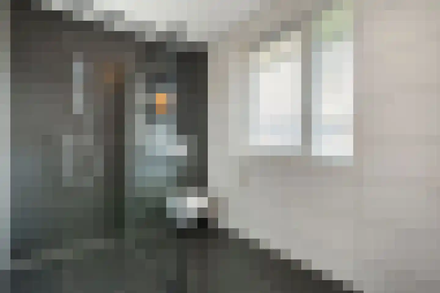 Holvastwerf 42 Dedemsvaart thumbnail 29