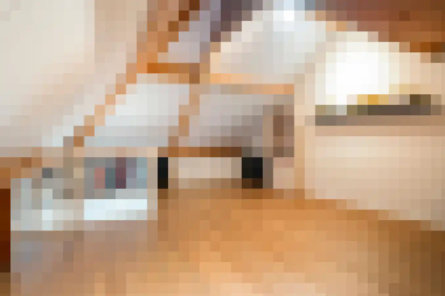 Holvastwerf 42 Dedemsvaart thumbnail 31