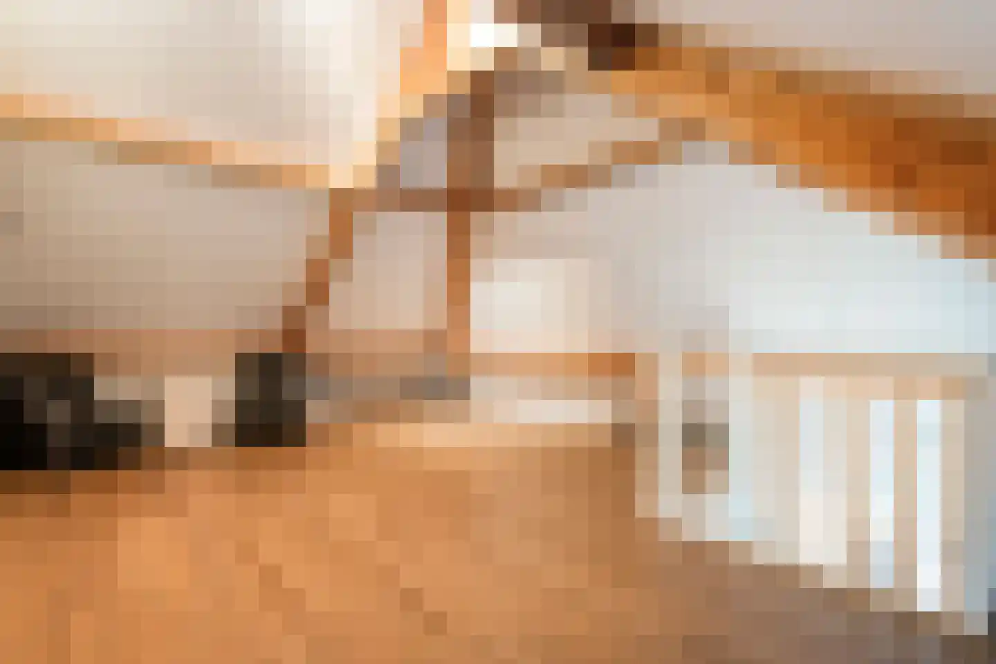 Holvastwerf 42 Dedemsvaart thumbnail 32
