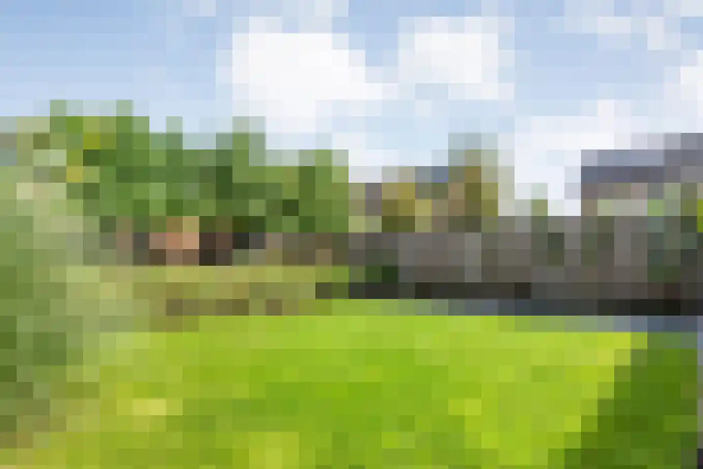 Holvastwerf 42 Dedemsvaart thumbnail 35