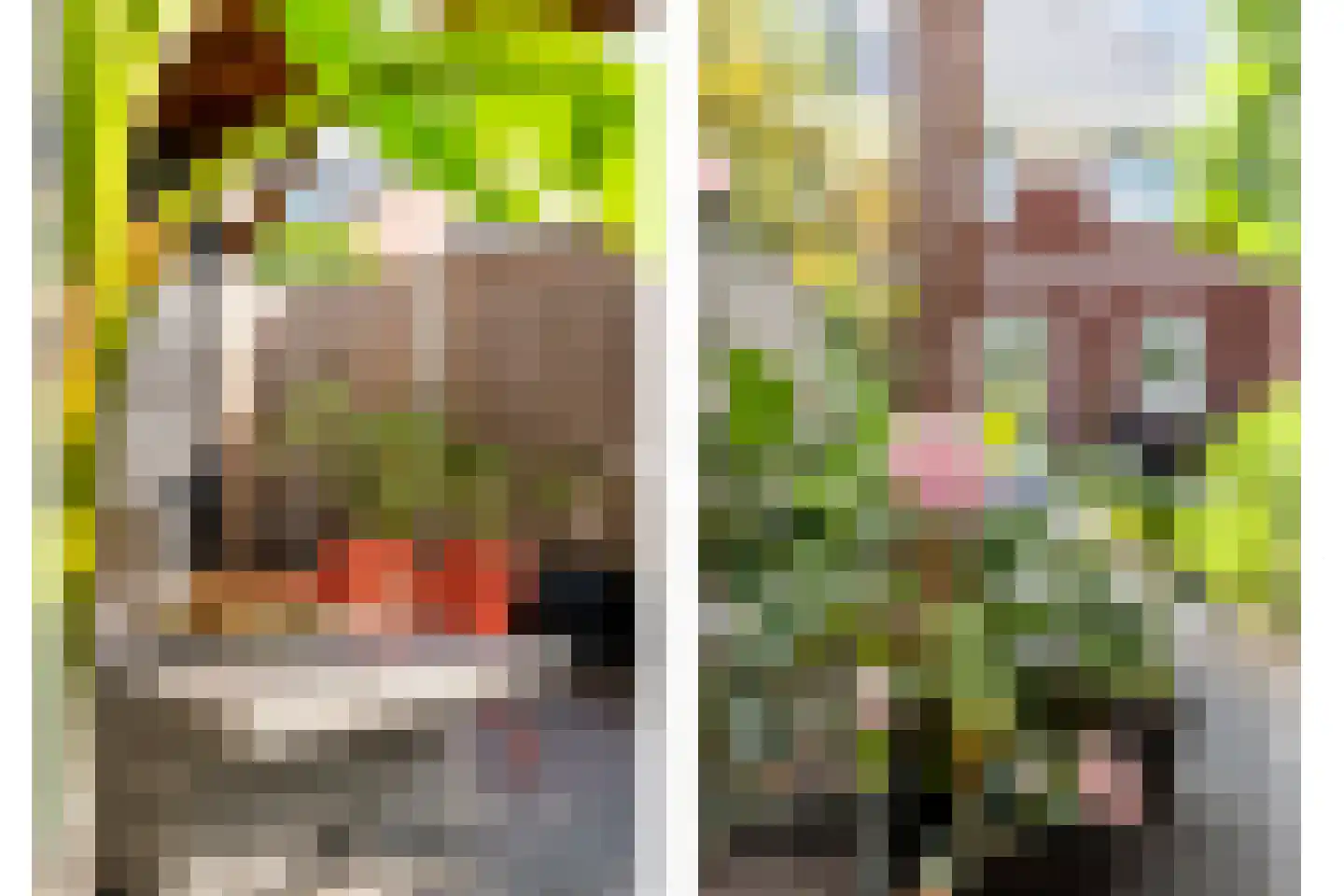Holvastwerf 42 Dedemsvaart thumbnail 37