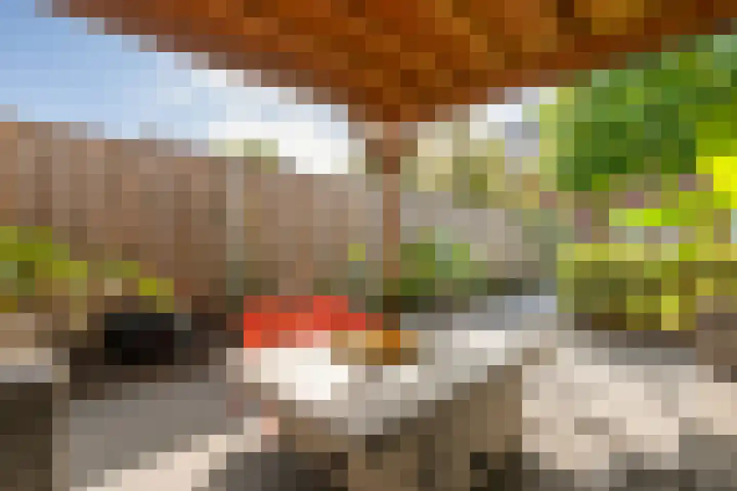 Holvastwerf 42 Dedemsvaart thumbnail 38