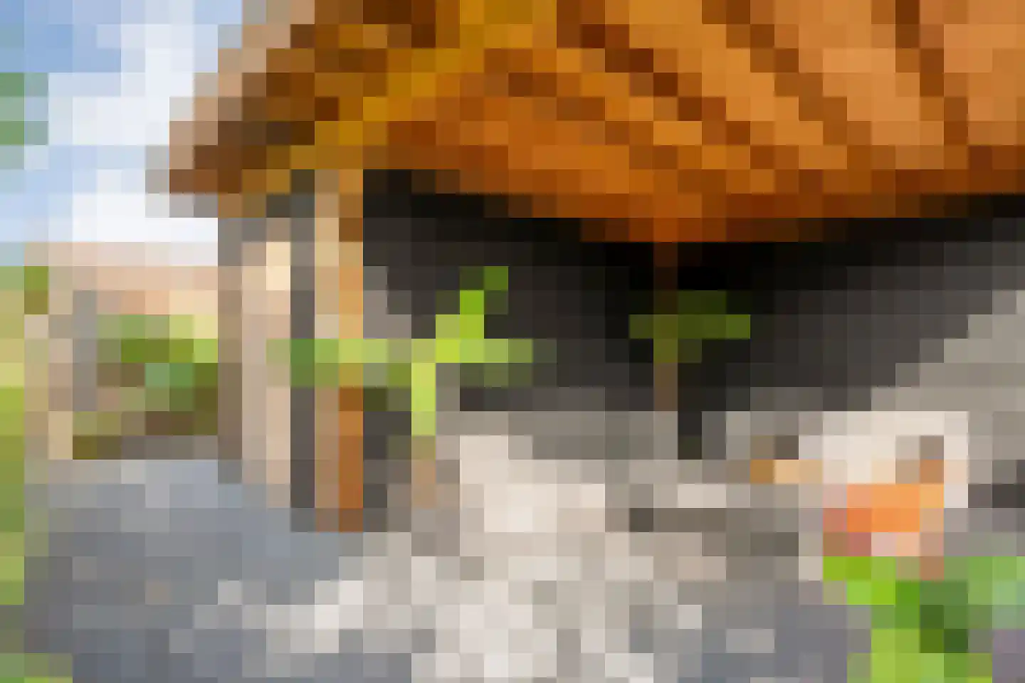 Holvastwerf 42 Dedemsvaart thumbnail 39