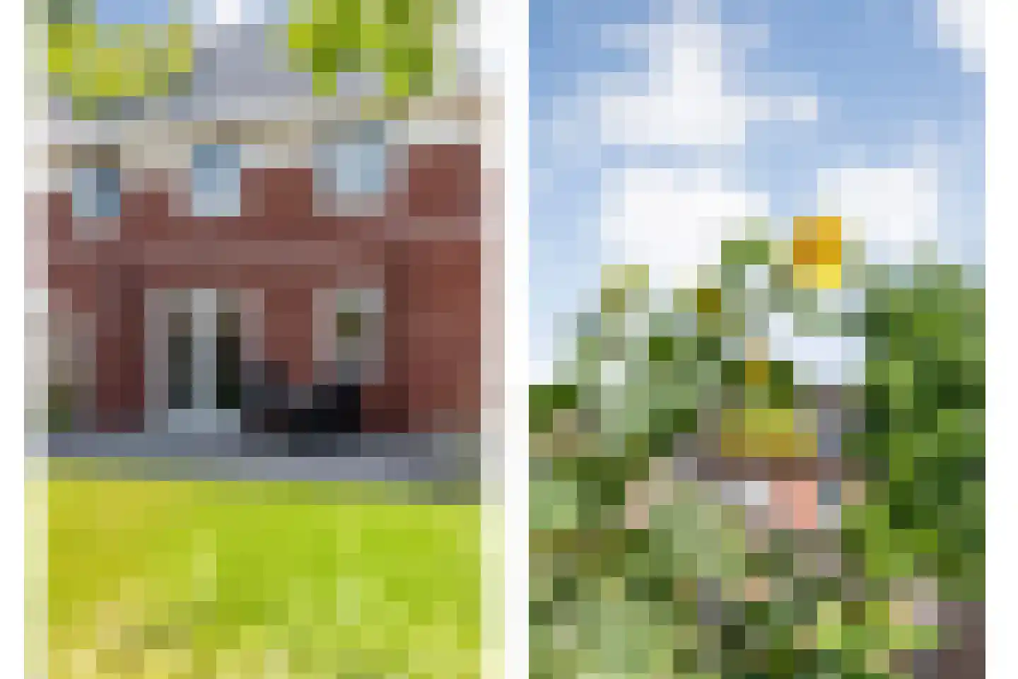 Holvastwerf 42 Dedemsvaart thumbnail 40