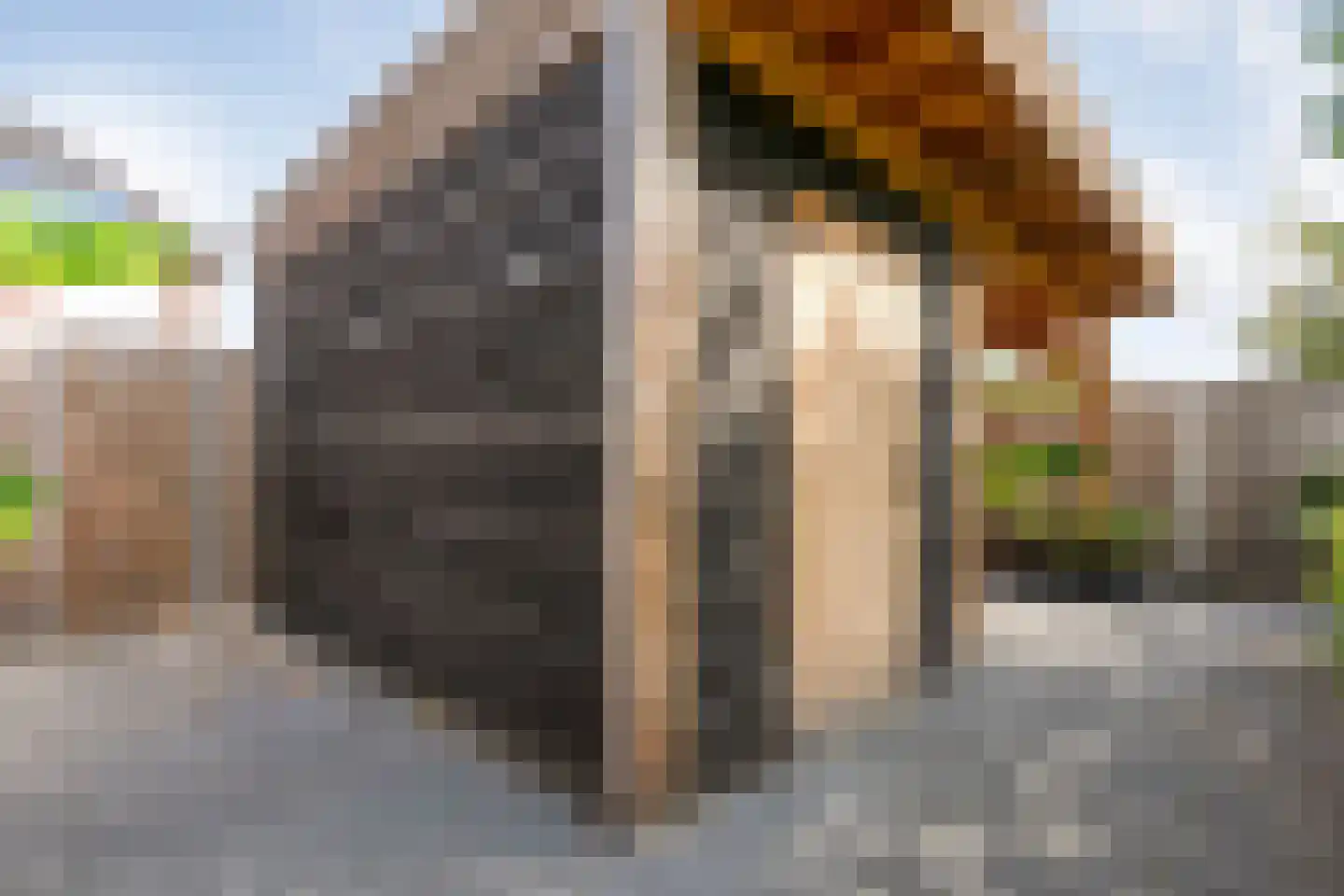 Holvastwerf 42 Dedemsvaart thumbnail 41