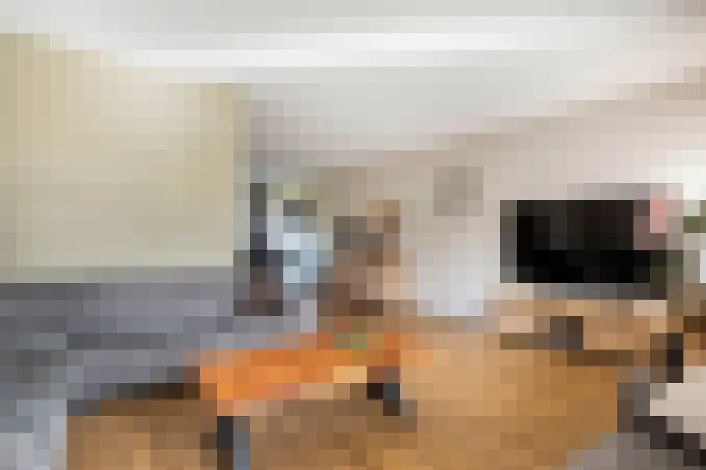 Holvastwerf 42 Dedemsvaart thumbnail 8