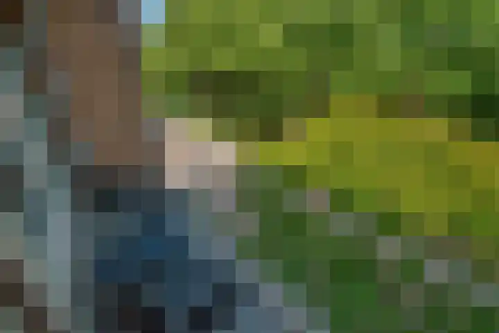 Holwerdalaan 113 Voorburg thumbnail 10