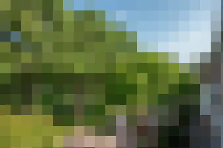Holwerdalaan 113 Voorburg thumbnail 12