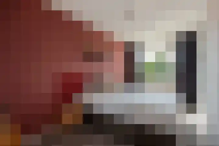 Holwerdalaan 113 Voorburg thumbnail 13