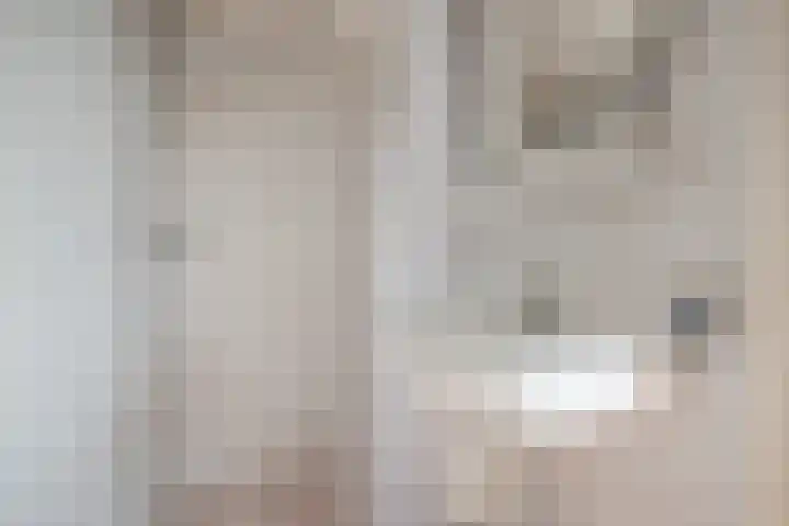 Holwerdalaan 113 Voorburg thumbnail 17