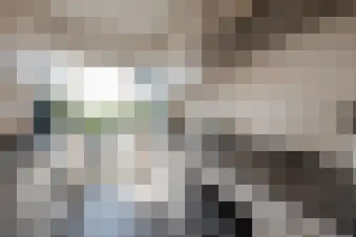 Holwerdalaan 113 Voorburg thumbnail 20