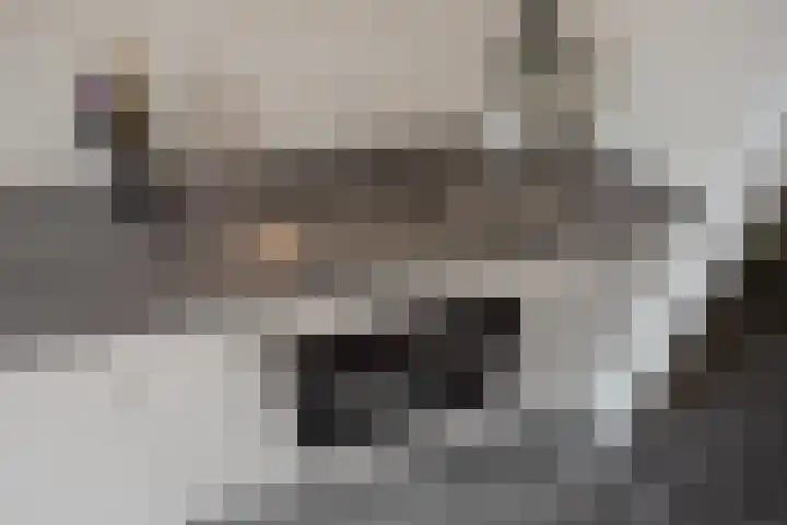 Holwerdalaan 113 Voorburg thumbnail 22